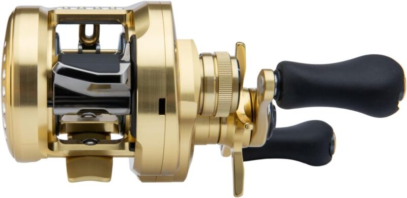 Shimano CTCNQ100HGA Calcutta Conquest Reel